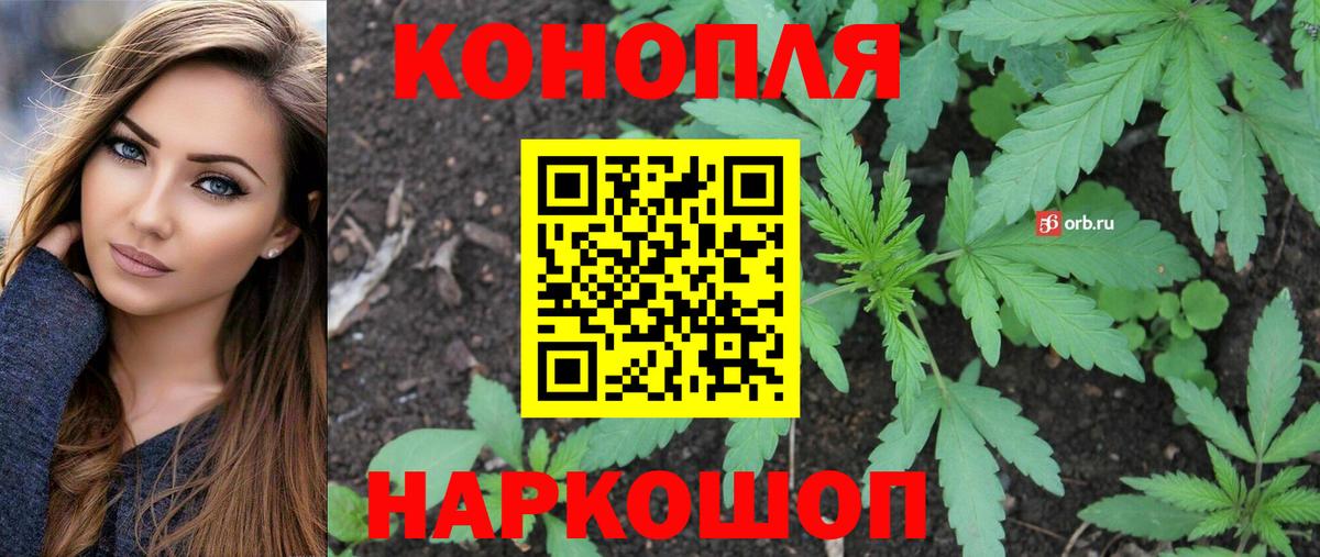 Бошки Шишки марихуана  Конопля AK-47  Тобольск  Вход с VPN  МАРИХУАНА ГИДРОПОН  Шишки марихуана гибрид 